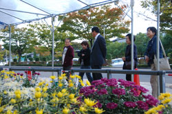 写真：菊花展も同時開催されました